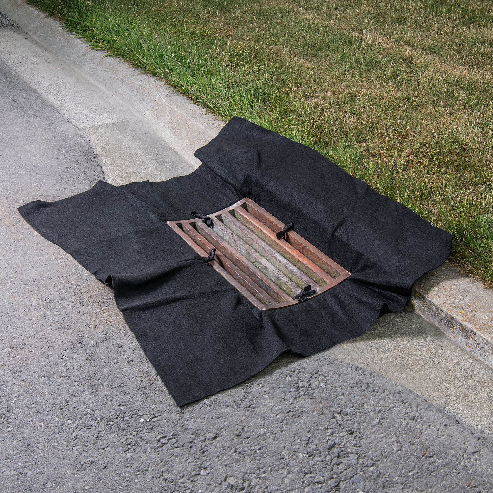 Hazero Drain Guard
